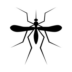 Silhouette of Mosquito. Insect, Culex pipiens isolated on white background. Vector Illustration