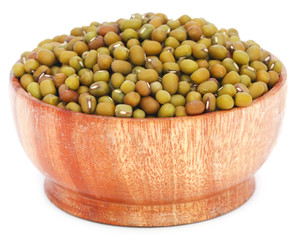 Mung bean