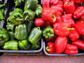Paprika rot und grün