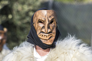 Carnevale / Fotografie alle maschere di carnevale di Ottana ed Escalaplano