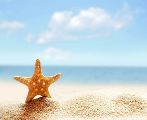 Fototapeta na wymiar Starfish on the summer beach. Sand, sky and ocean.