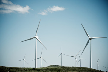 Fototapeta premium wind energy