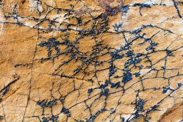 Stripes of rocks formed by nature.