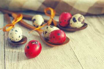 Quail colorful Easter eggs in wooden spoons. Easter eggs in wooden spoons on an old wooden background. Easter quail eggs