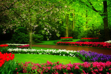 spring garden in Keukenhof, Holland