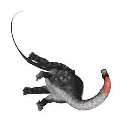 Dinosaur Apatosaurus on White