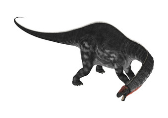 Dinosaur Apatosaurus on White