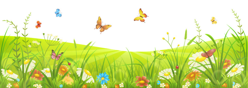 Floral summer or spring meadow with green grass, flowers and butterflies