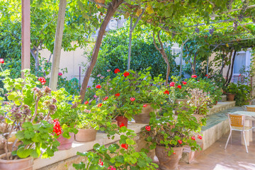 Fototapeta na wymiar Garden in Crete, Greece