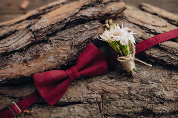 bowtie and groom's boutonniere on tree bark