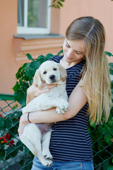 Portrait of Young woman holding on hands puppy Labrador