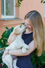 Portrait of Young woman holding on hands puppy Labrador