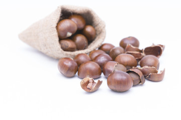 Fresh Chestnuts in yute isolated on white