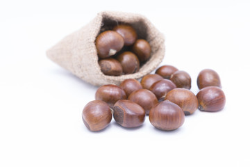 Fresh Chestnuts in yute isolated on white