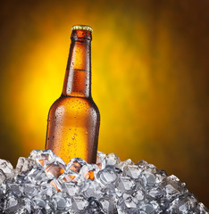 Cold bottle of beer in the ice cubes on the yellow background.