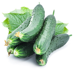 Cucumbers on the white background.