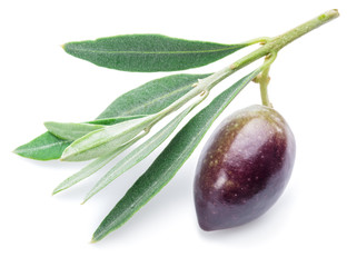 Fresh olives with leaves on the white background.