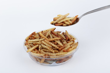 Thai Insects, Fried insects mealworms for snack (Thai people called Express Train).