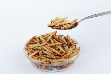 Thai Insects, Fried insects mealworms for snack (Thai people called Express Train).