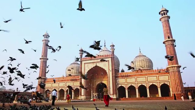Locked-on shot of birds flying in front of a mosque, Jama Masjid, Delhi, India