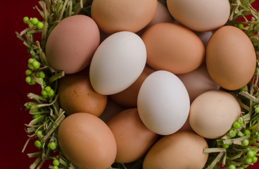 Eggs in a basket on a red background close-up