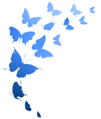 butterflies design