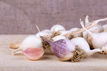 garlic