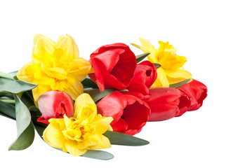 Bouquet of beautiful narcissus and tulips