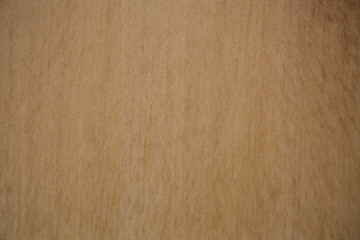 Wood texture with natural wood pattern