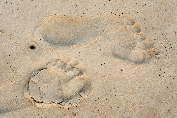 Footprints in the sand