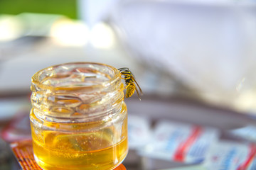 Bee in honey jar