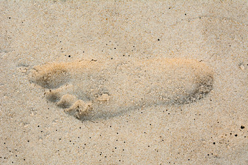 Footprints in the sand