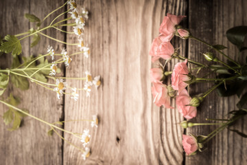 Roses and daisies on a wooden table