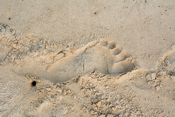 Footprints in the sand