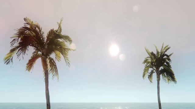 Palmen und Meerblick Video II