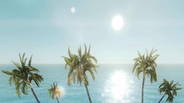 Palmen und Meerblick Video I