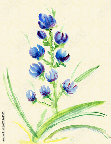 www hard core videoer com angiosperm www hard core videoer com angiosperm