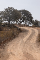 dry landscape in Martim longo, Portugal