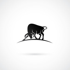 Black bull sign