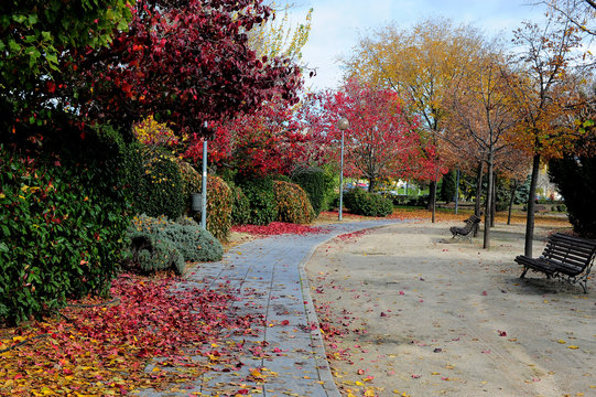 parque de la vega