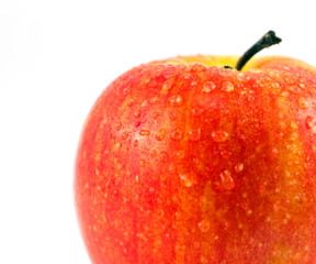 Red apples on a white background
