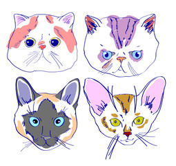 cats faces drawing in cartoon style