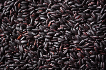Black dry rice with copy space, texture, top view.