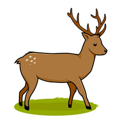 Deer standing on the grass. Vector illustration