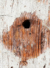 closeup of old wood planks and hole texture background