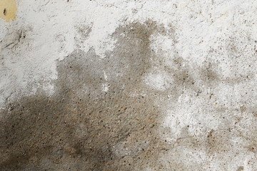 white wall background, vintage stucco texture