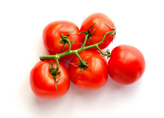 Tomato Vitamin Salad White