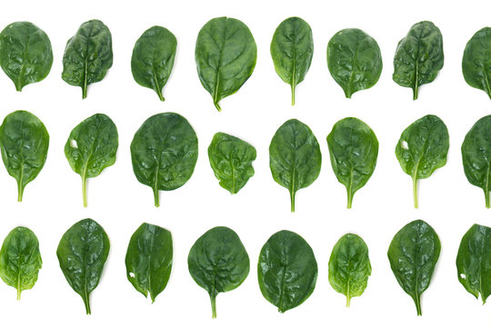 Close view of spinach leafs aligned in rows, isolated on a white background.