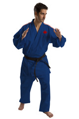 Naklejka premium Canadian judo fighter