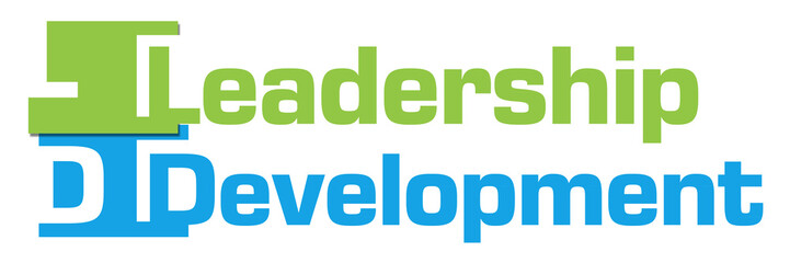 Leadership Development Abstract Colorful Stripes 